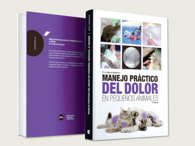 Manejo práctico del dolor