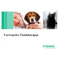 Fluidoterapia Basica